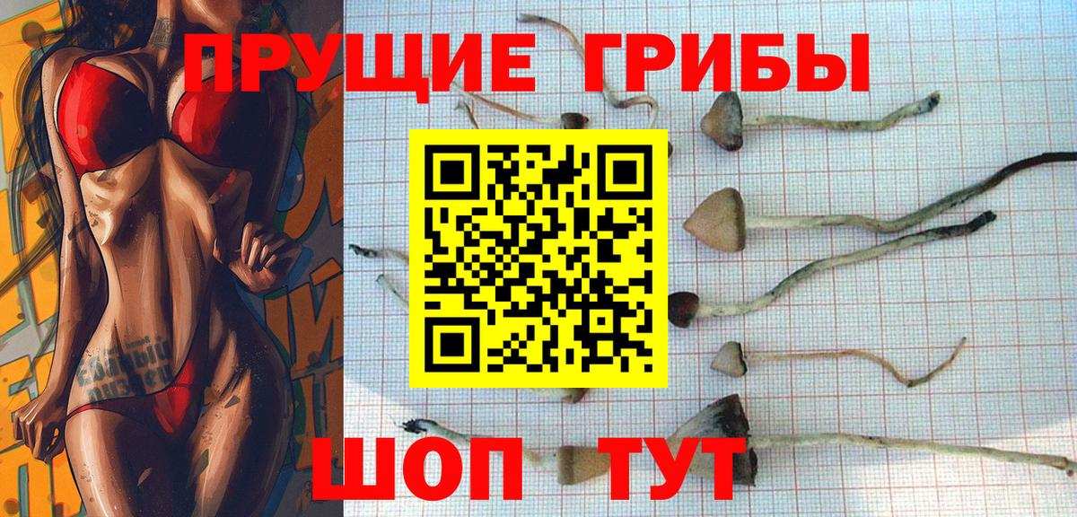 Галлюциногенные грибы Psilocybine cubensis  Вход с VPN  Балашиха  Галлюциногенные грибы MAGIC MUSHROOMS 