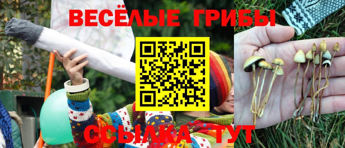 Галлюциногенные грибы прущие грибы Балашиха
